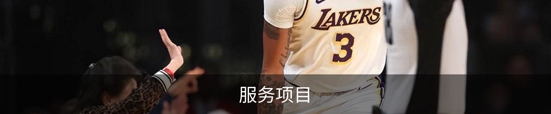服务项目